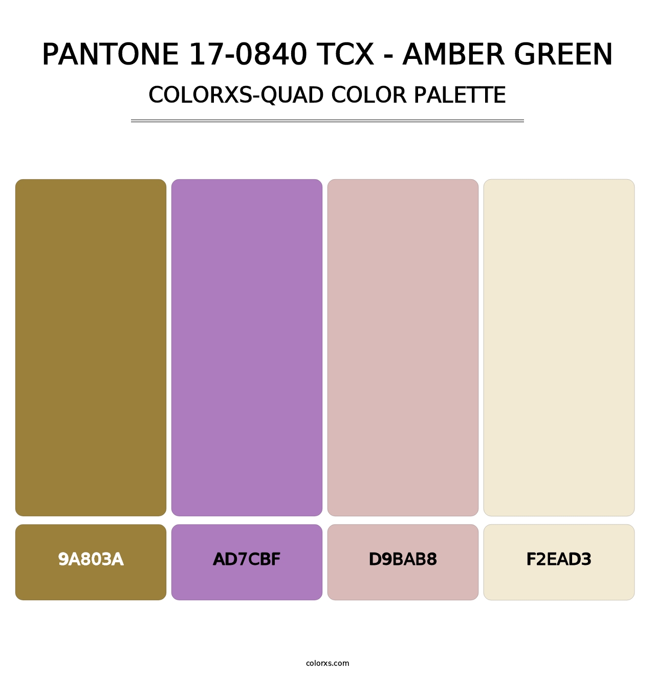 PANTONE 17-0840 TCX - Amber Green - Colorxs Quad Palette