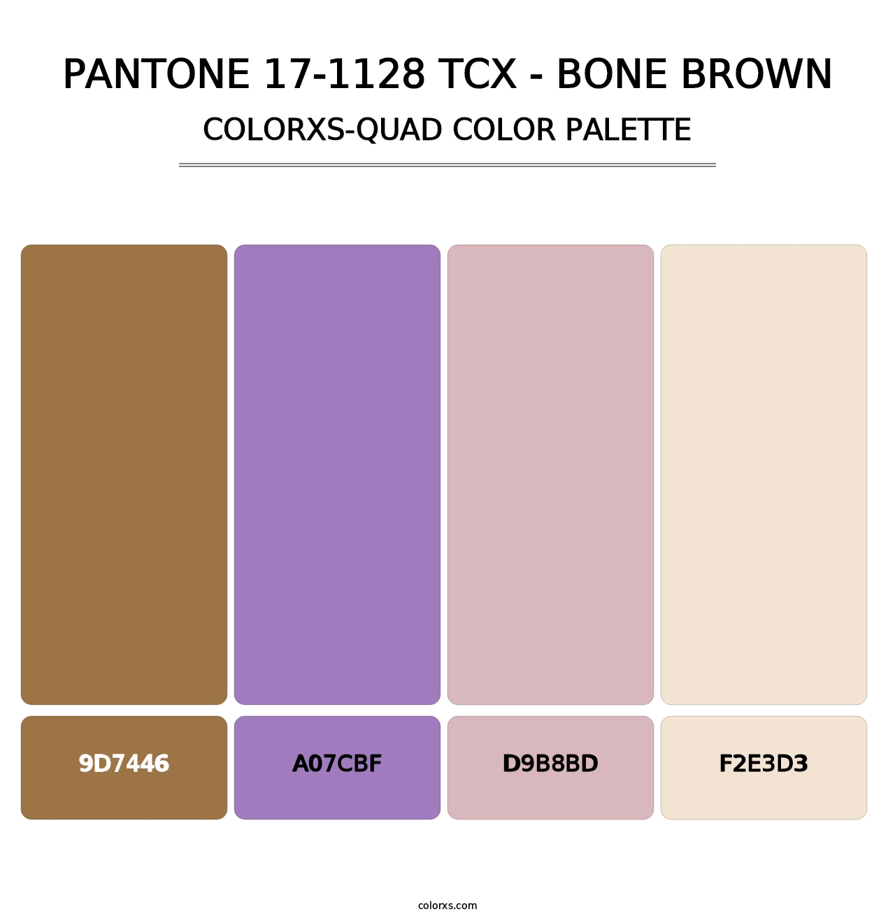 PANTONE 17-1128 TCX - Bone Brown - Colorxs Quad Palette