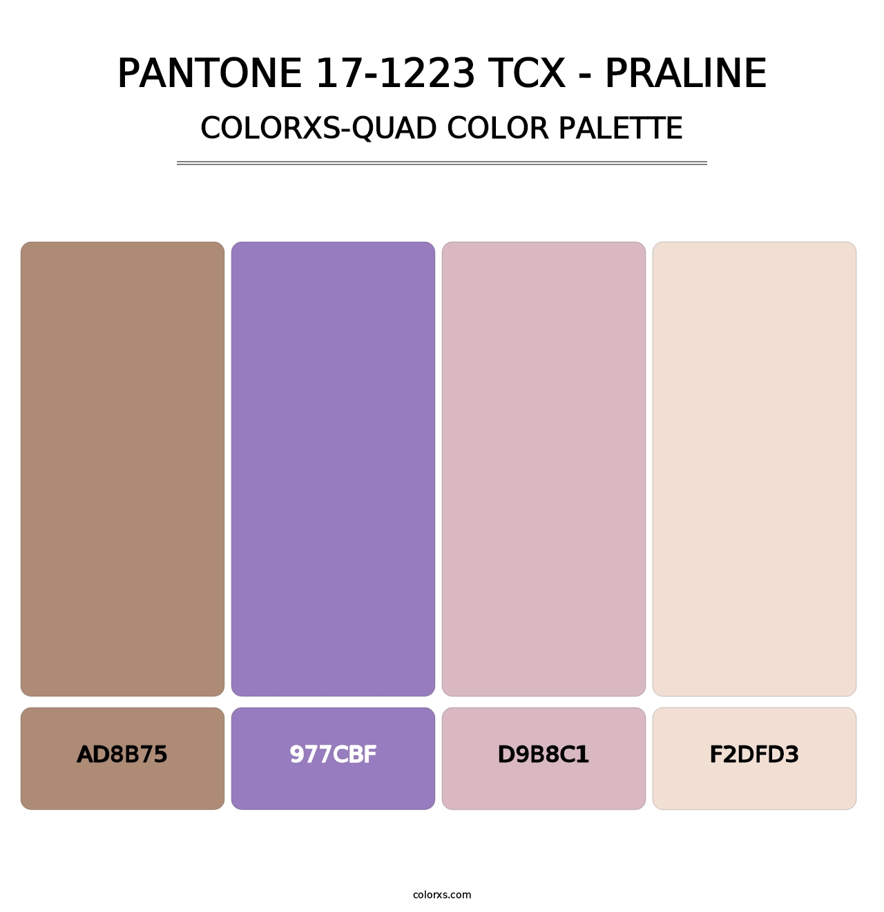 PANTONE 17-1223 TCX - Praline - Colorxs Quad Palette