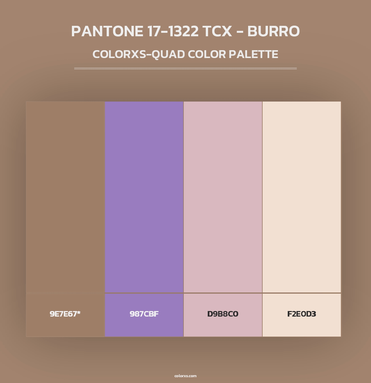 PANTONE 17-1322 TCX - Burro - Colorxs Quad Palette