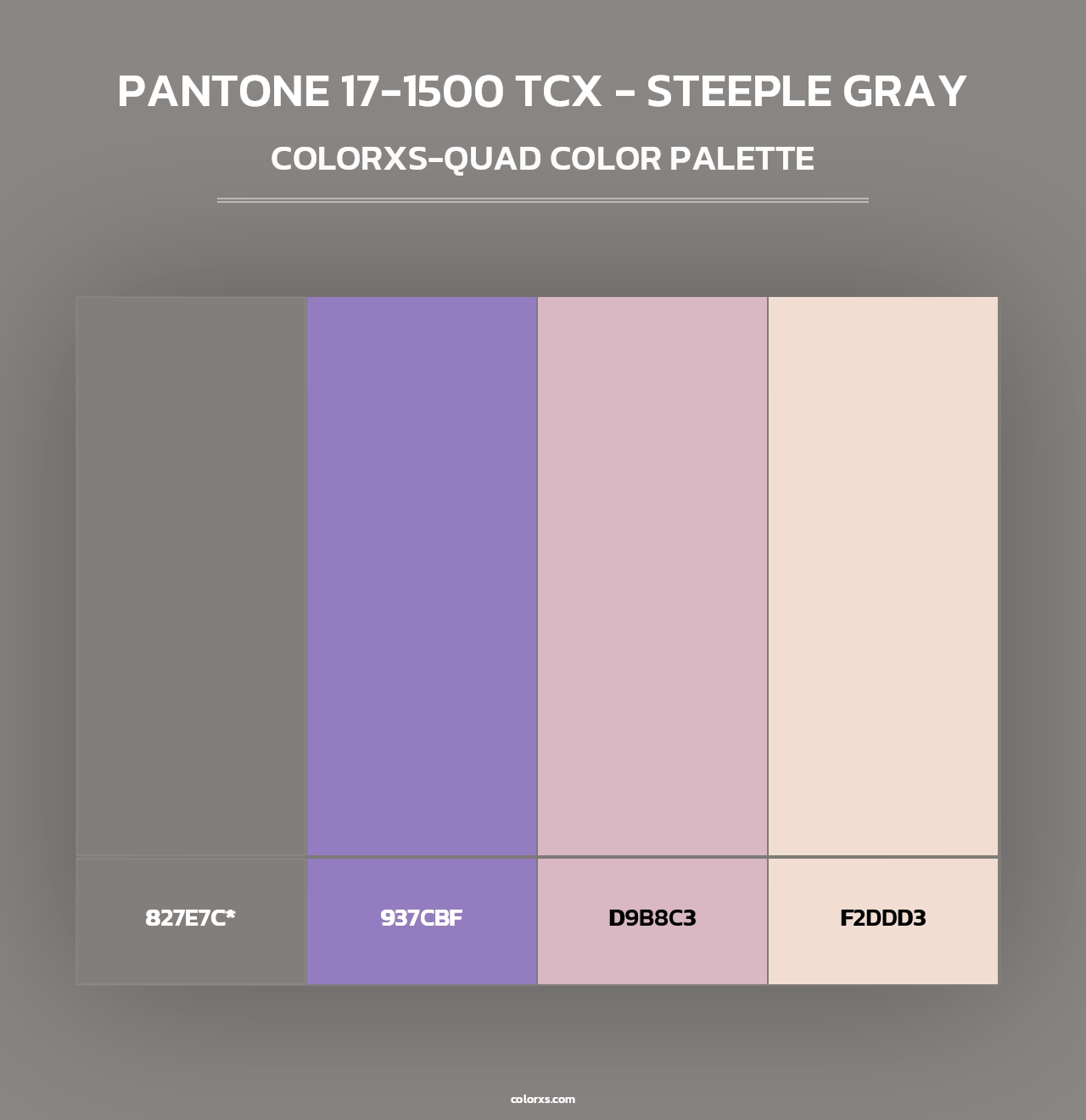 PANTONE 17-1500 TCX - Steeple Gray - Colorxs Quad Palette