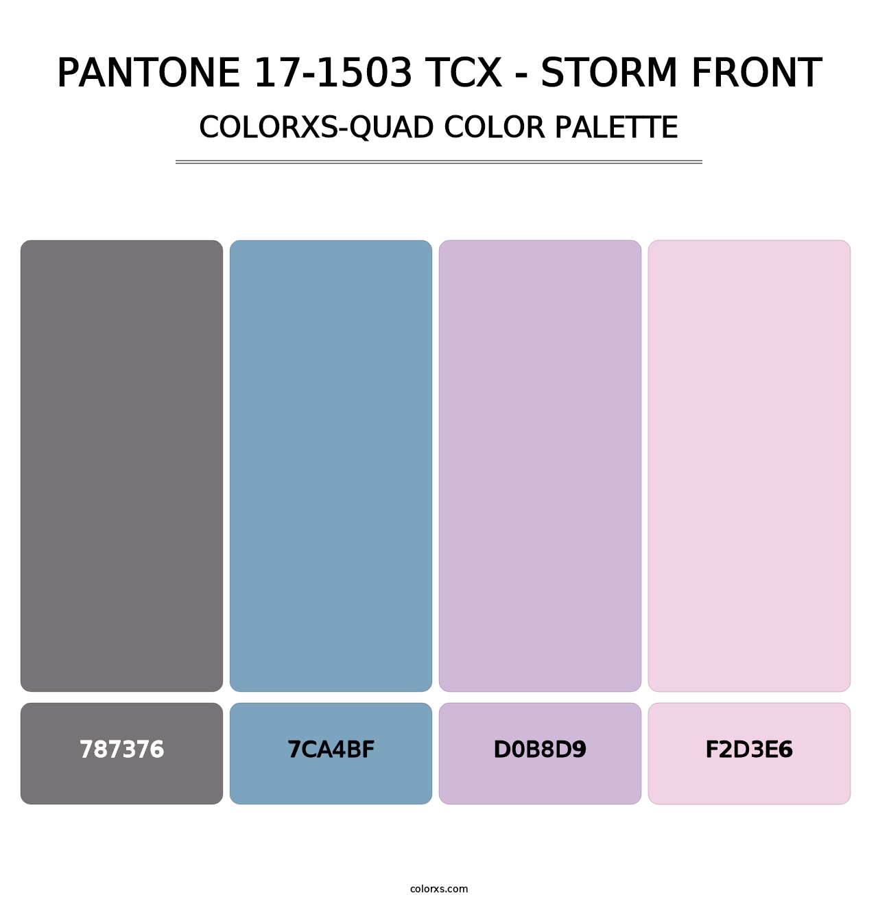 PANTONE 17-1503 TCX - Storm Front - Colorxs Quad Palette