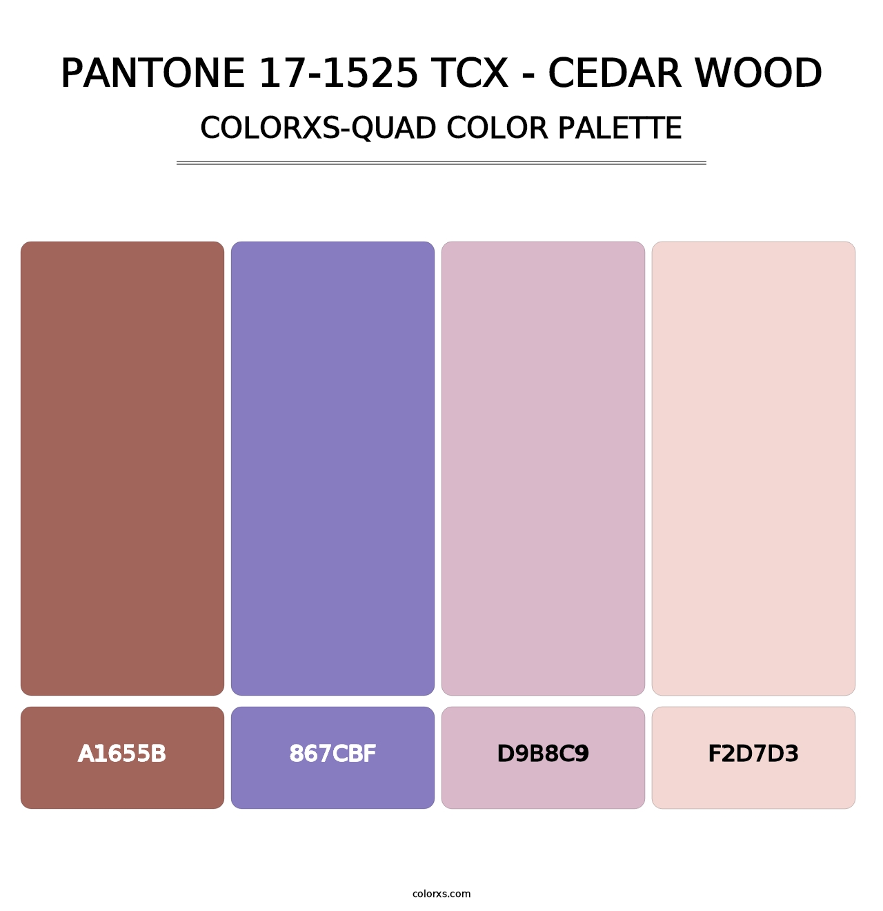 PANTONE 17-1525 TCX - Cedar Wood - Colorxs Quad Palette