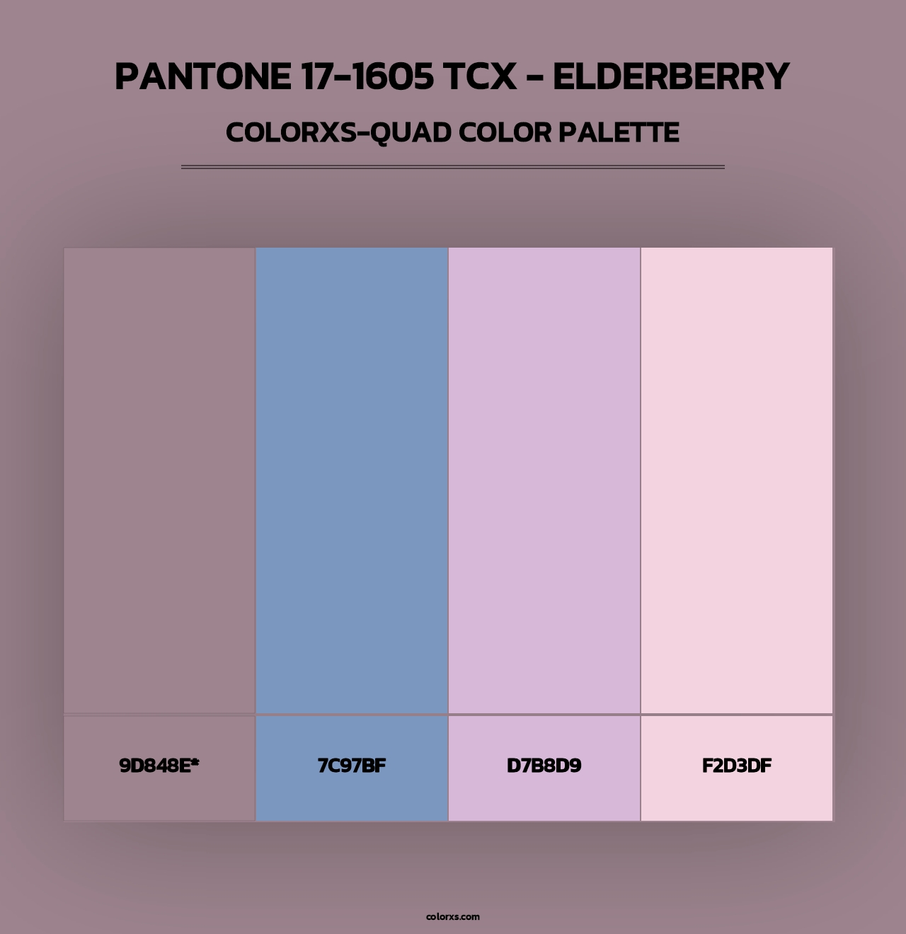 PANTONE 17-1605 TCX - Elderberry - Colorxs Quad Palette