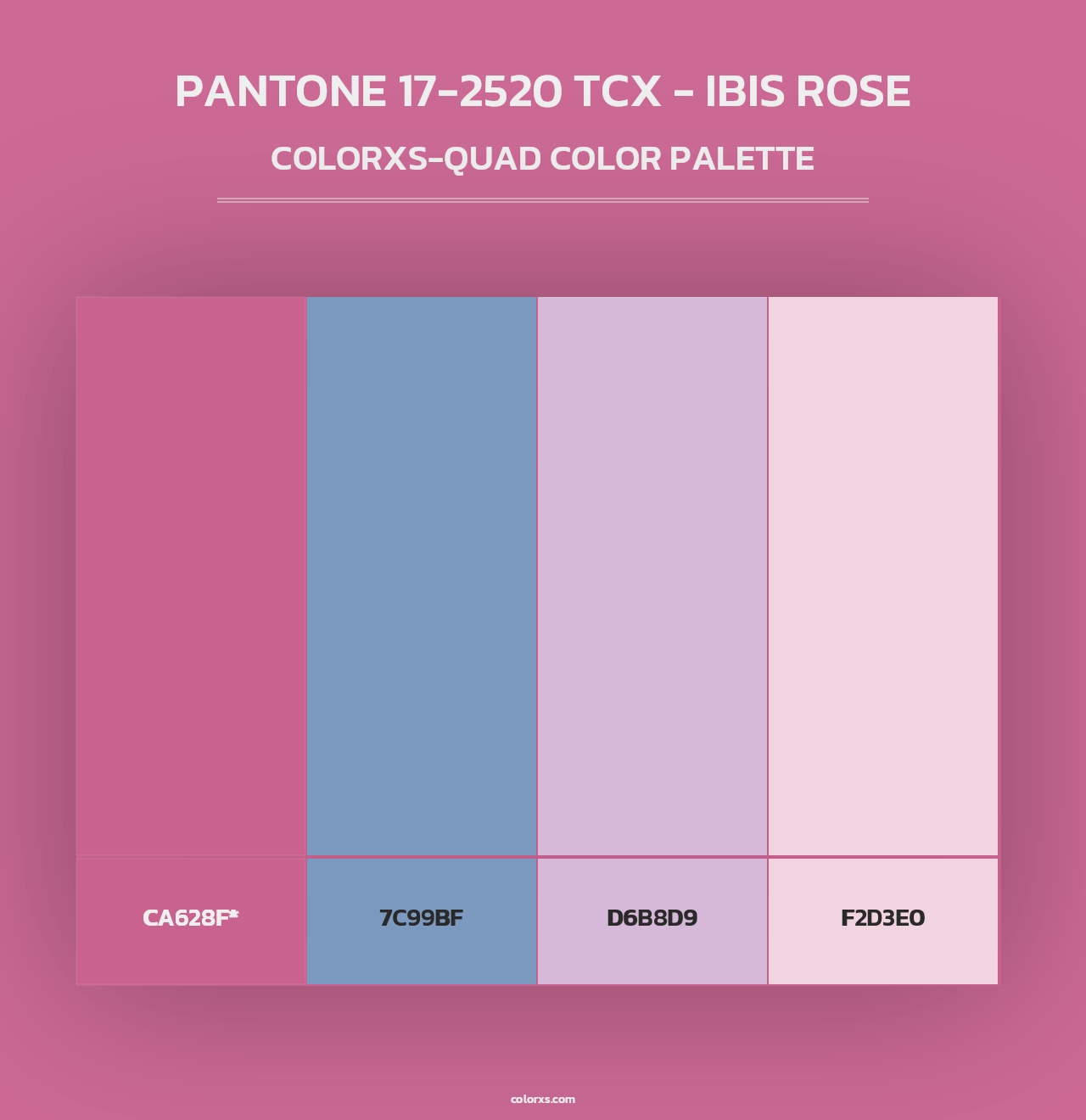 PANTONE 17-2520 TCX - Ibis Rose - Colorxs Quad Palette