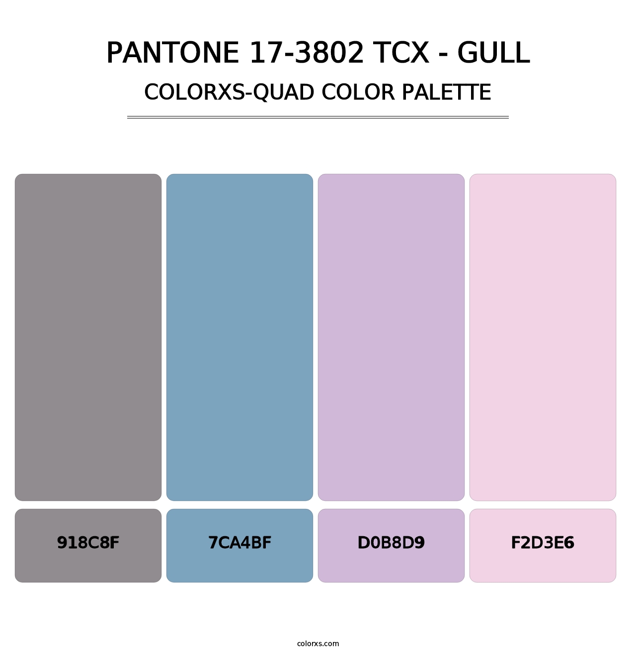PANTONE 17-3802 TCX - Gull - Colorxs Quad Palette