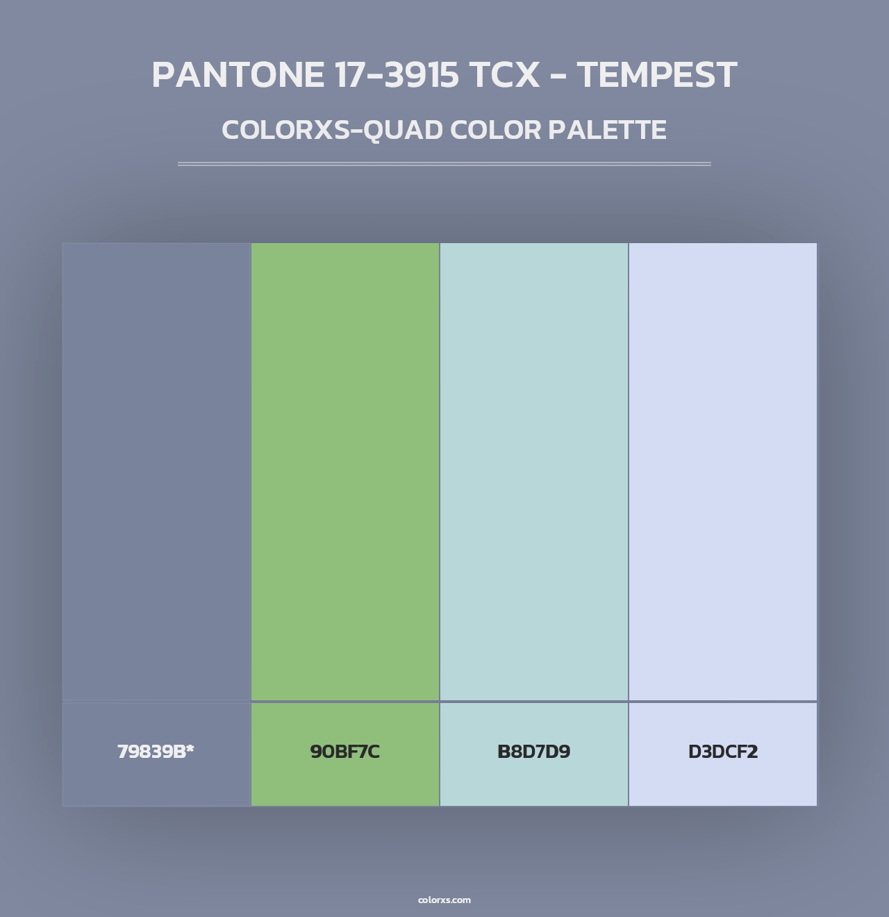 PANTONE 17-3915 TCX - Tempest - Colorxs Quad Palette