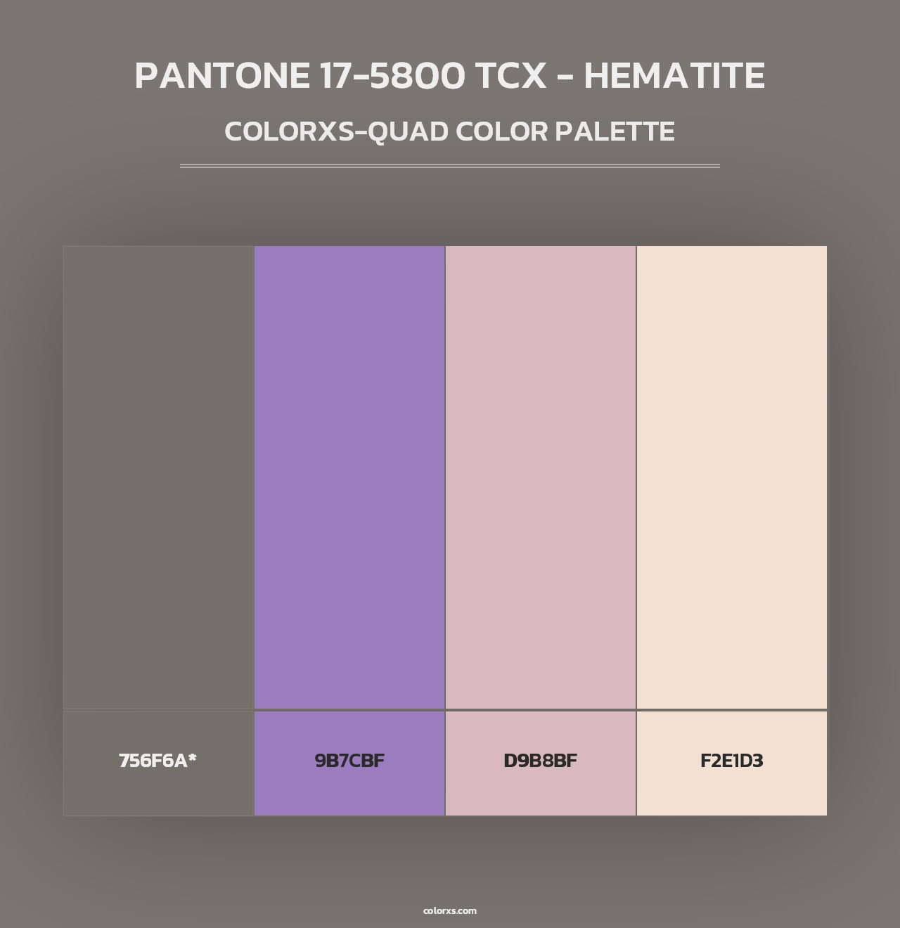 PANTONE 17-5800 TCX - Hematite - Colorxs Quad Palette