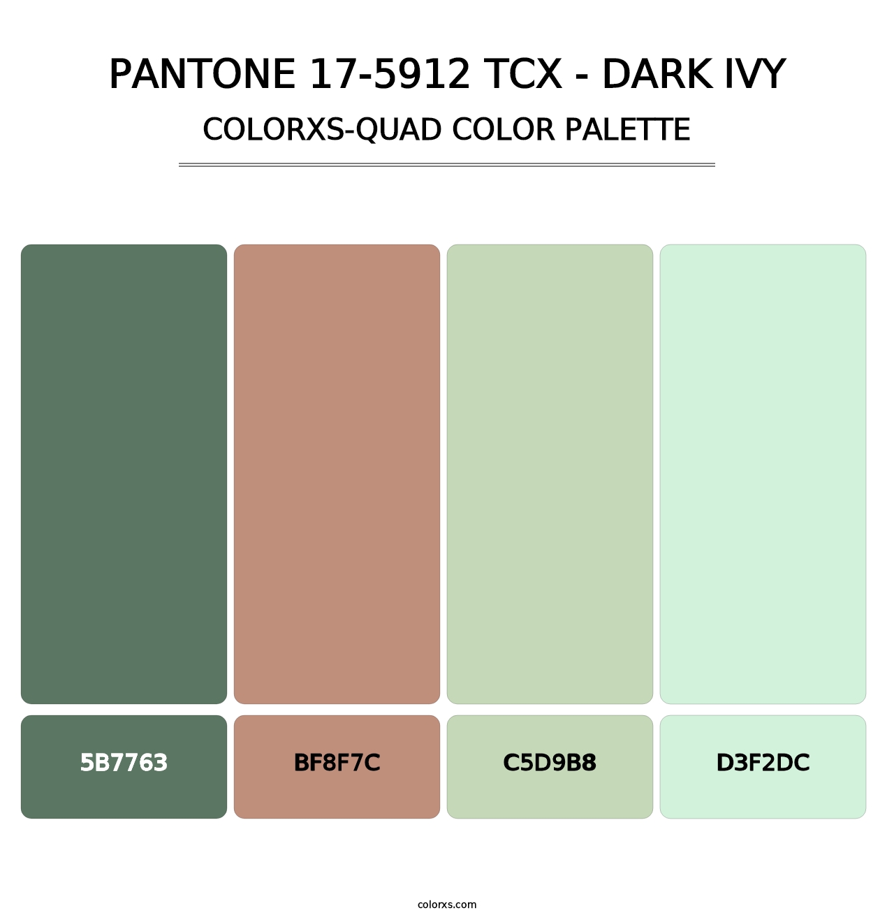 PANTONE 17-5912 TCX - Dark Ivy - Colorxs Quad Palette