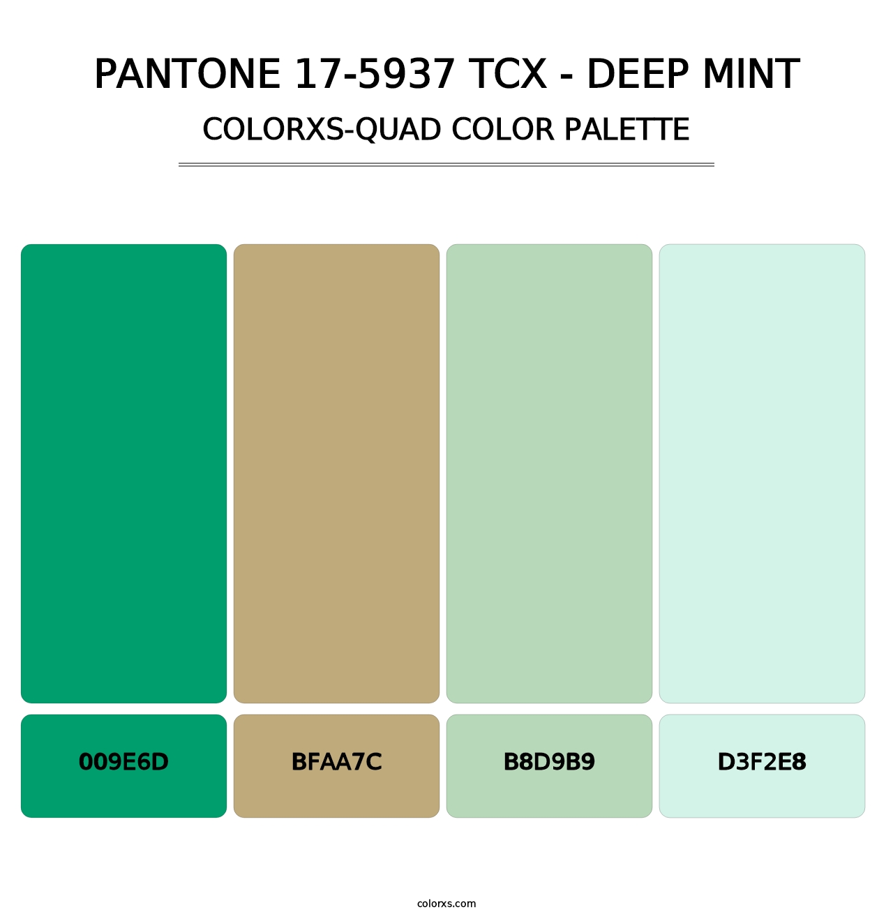 PANTONE 17-5937 TCX - Deep Mint - Colorxs Quad Palette