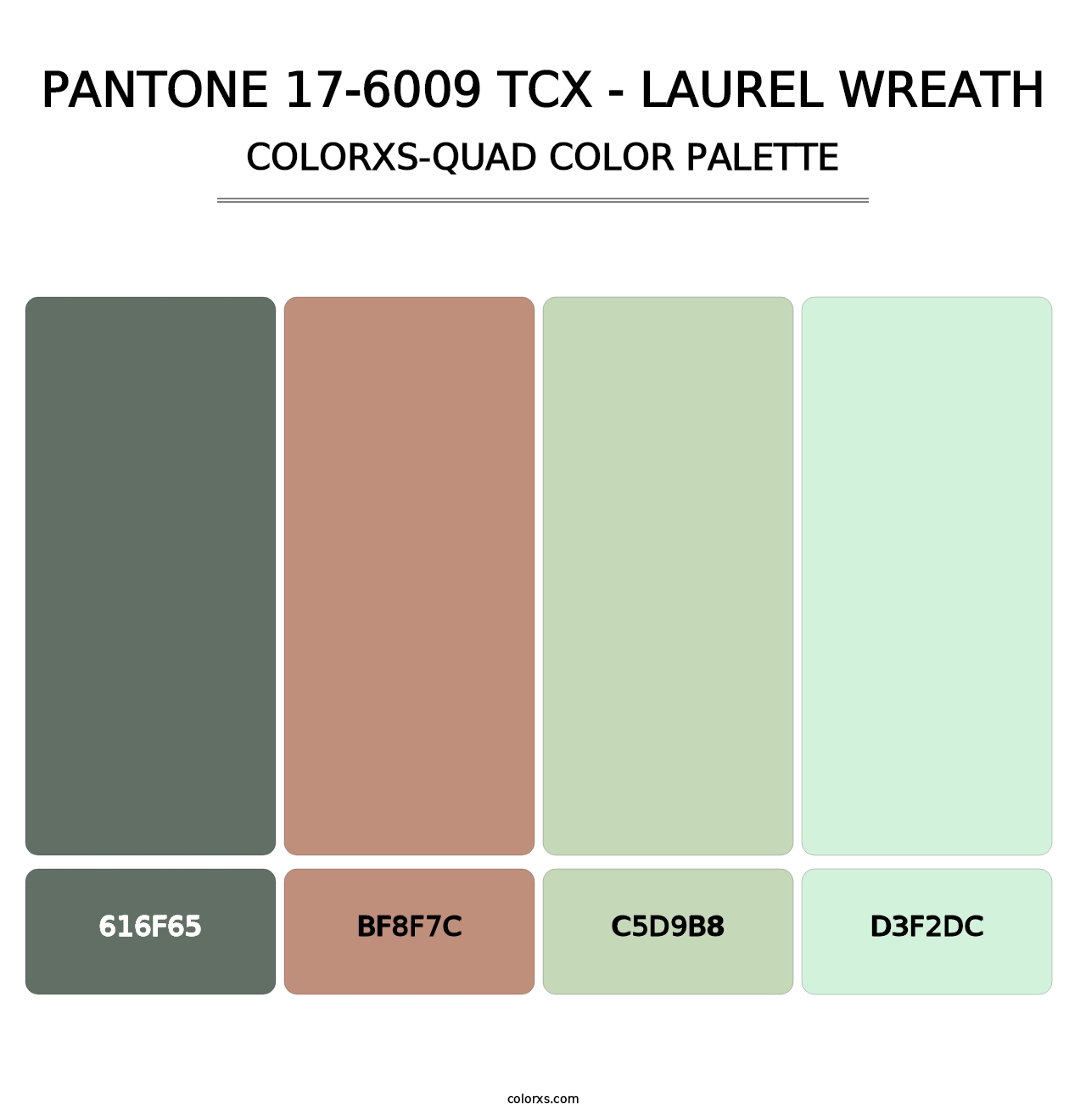 PANTONE 17-6009 TCX - Laurel Wreath - Colorxs Quad Palette