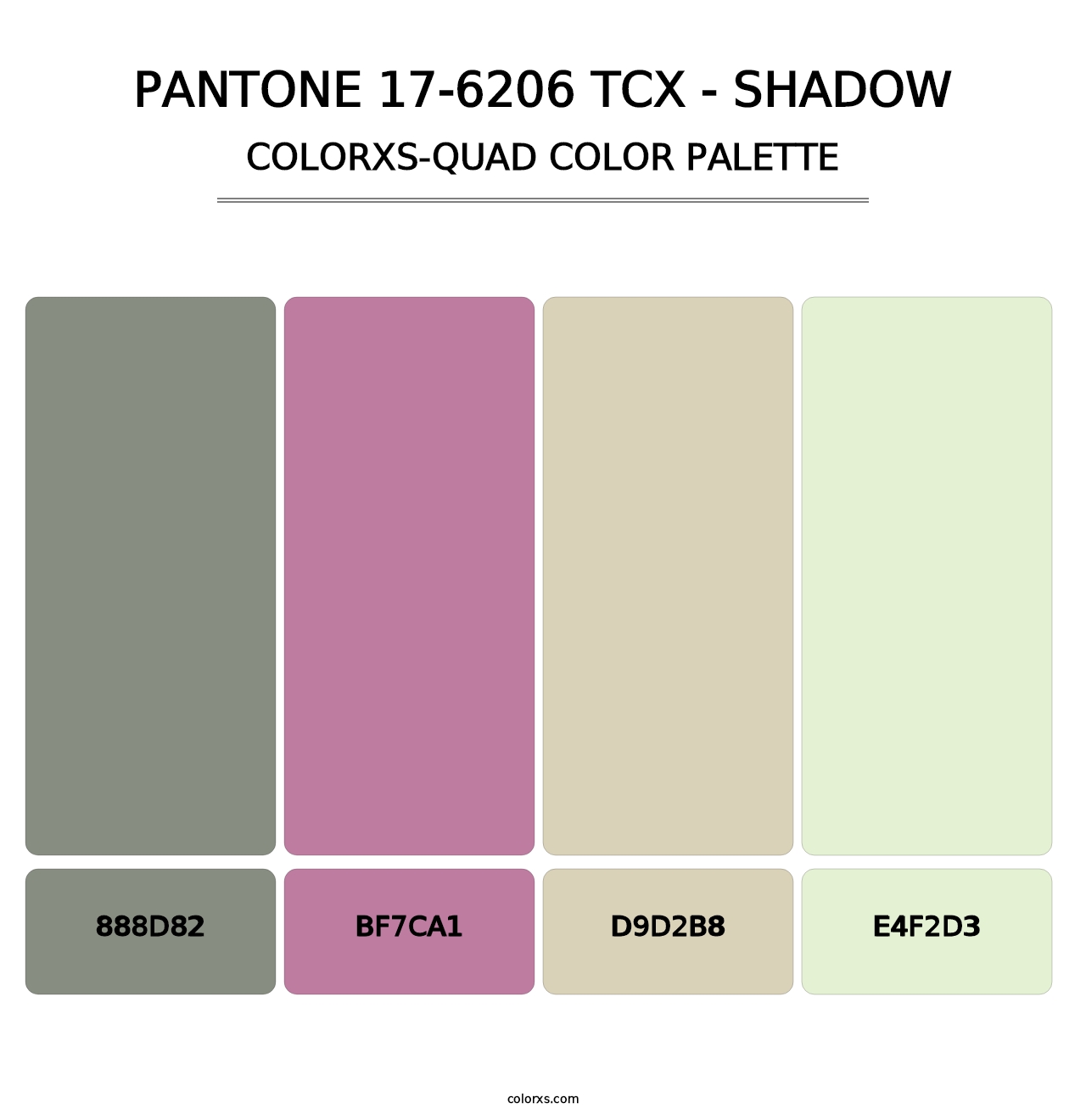 PANTONE 17-6206 TCX - Shadow - Colorxs Quad Palette