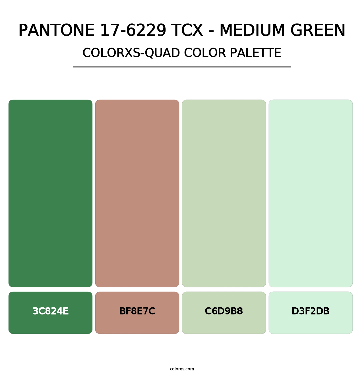 PANTONE 17-6229 TCX - Medium Green - Colorxs Quad Palette