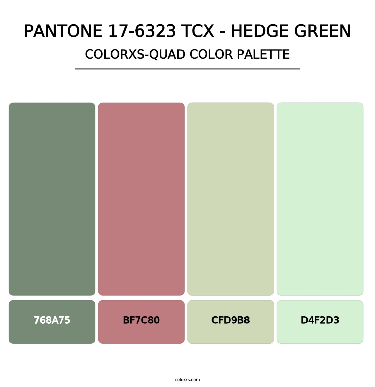 PANTONE 17-6323 TCX - Hedge Green - Colorxs Quad Palette