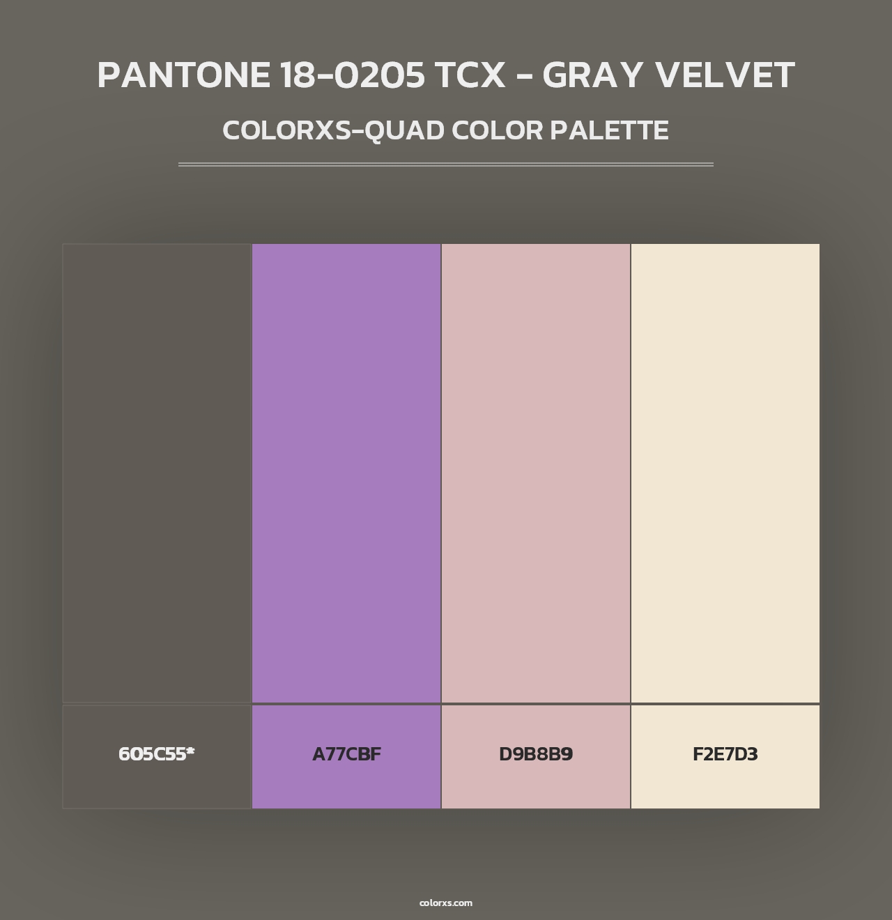 PANTONE 18-0205 TCX - Gray Velvet - Colorxs Quad Palette