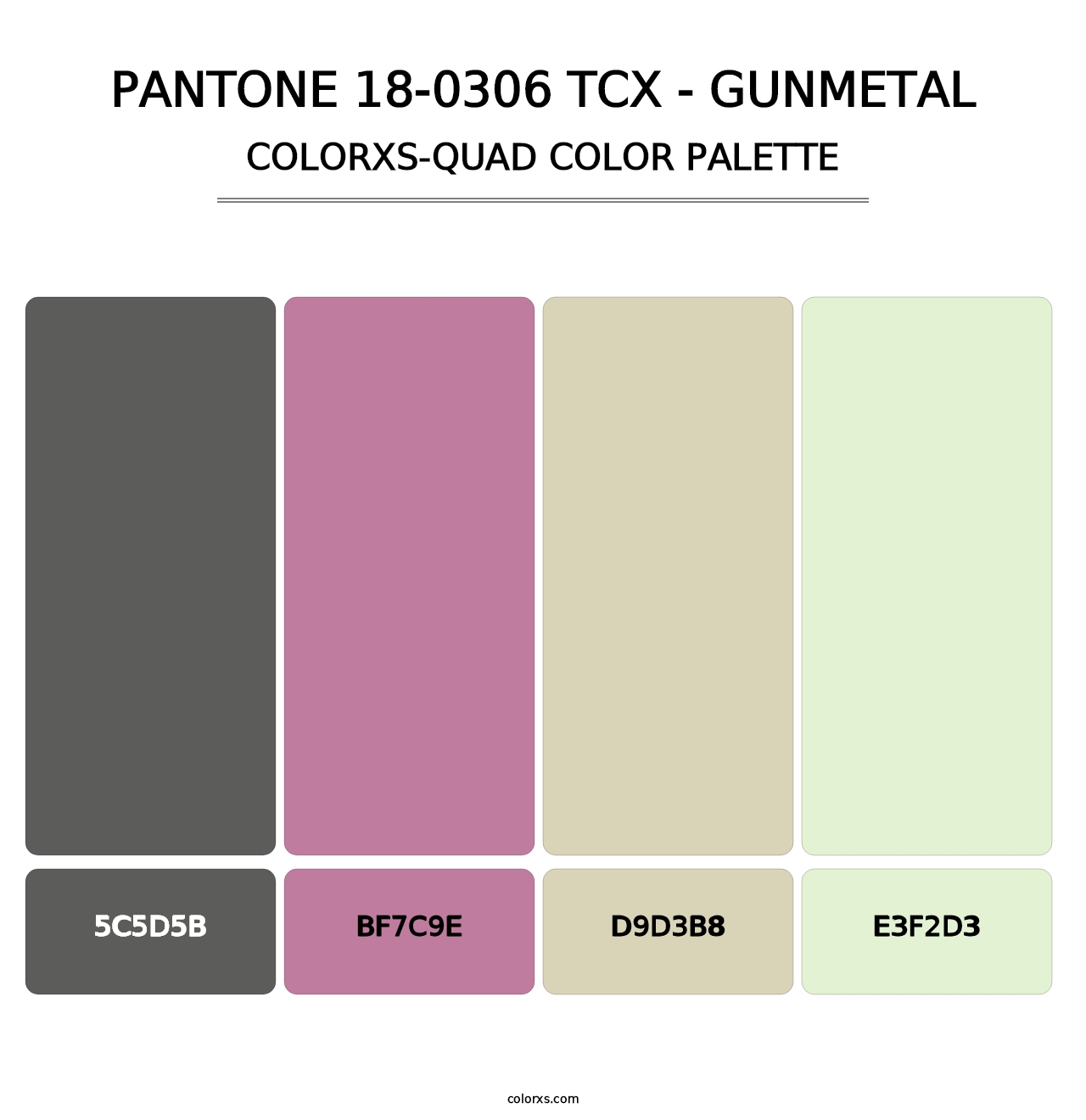 PANTONE 18-0306 TCX - Gunmetal - Colorxs Quad Palette