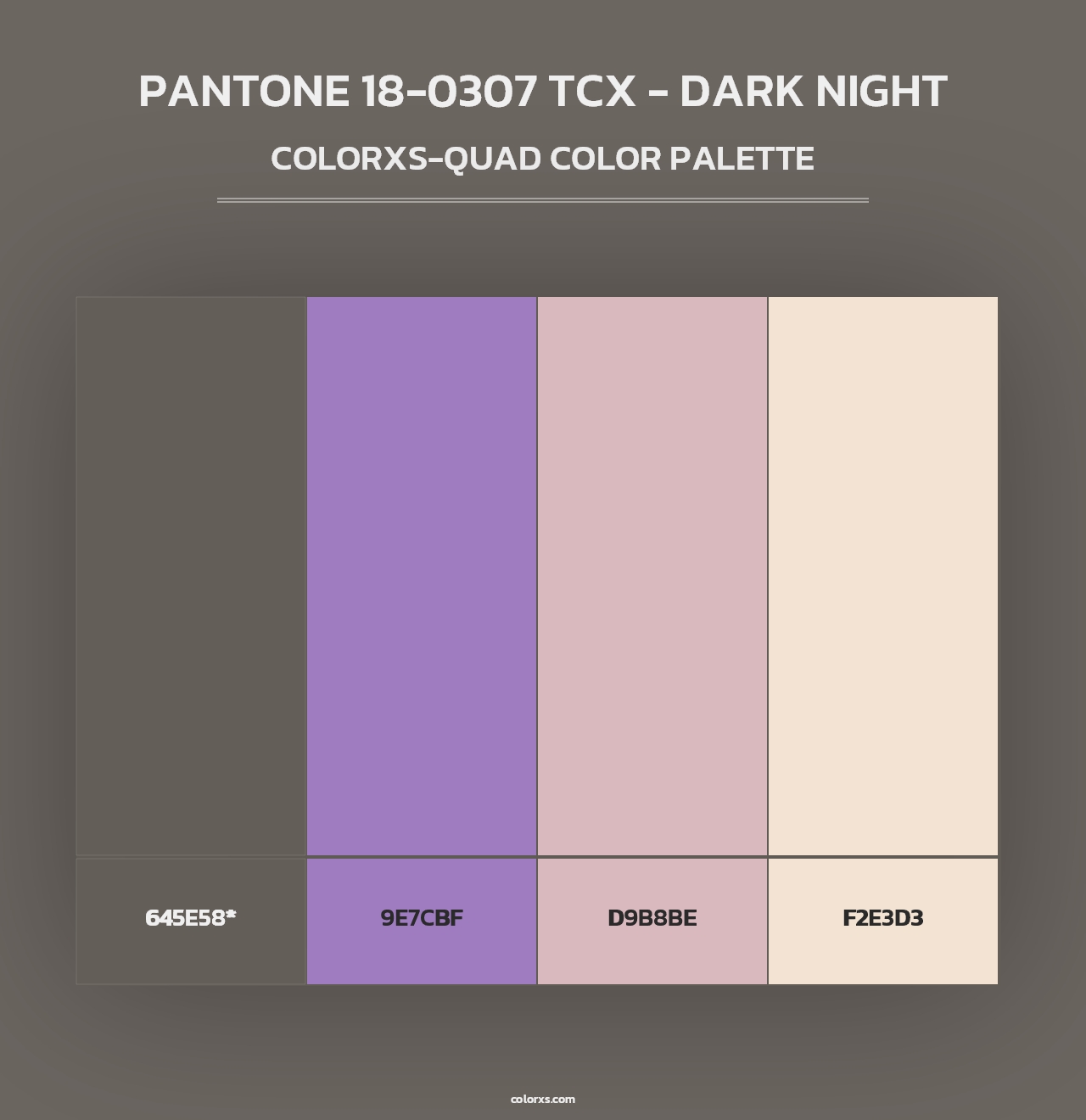 PANTONE 18-0307 TCX - Dark Night - Colorxs Quad Palette