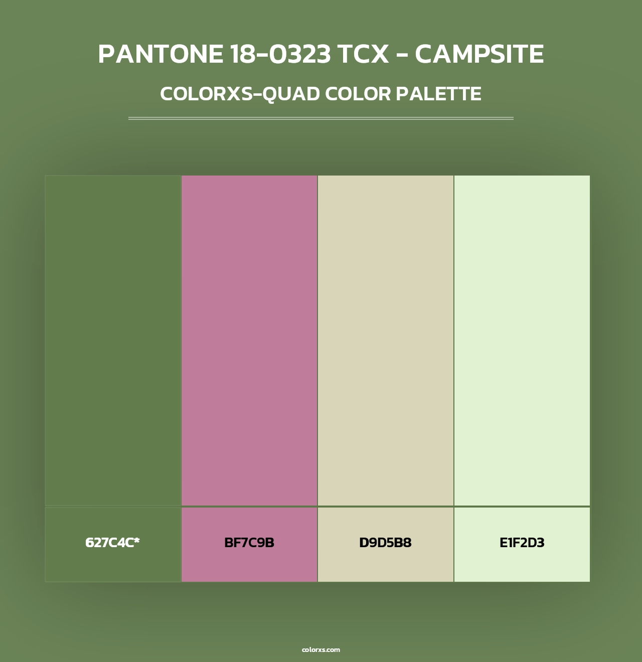 PANTONE 18-0323 TCX - Campsite - Colorxs Quad Palette