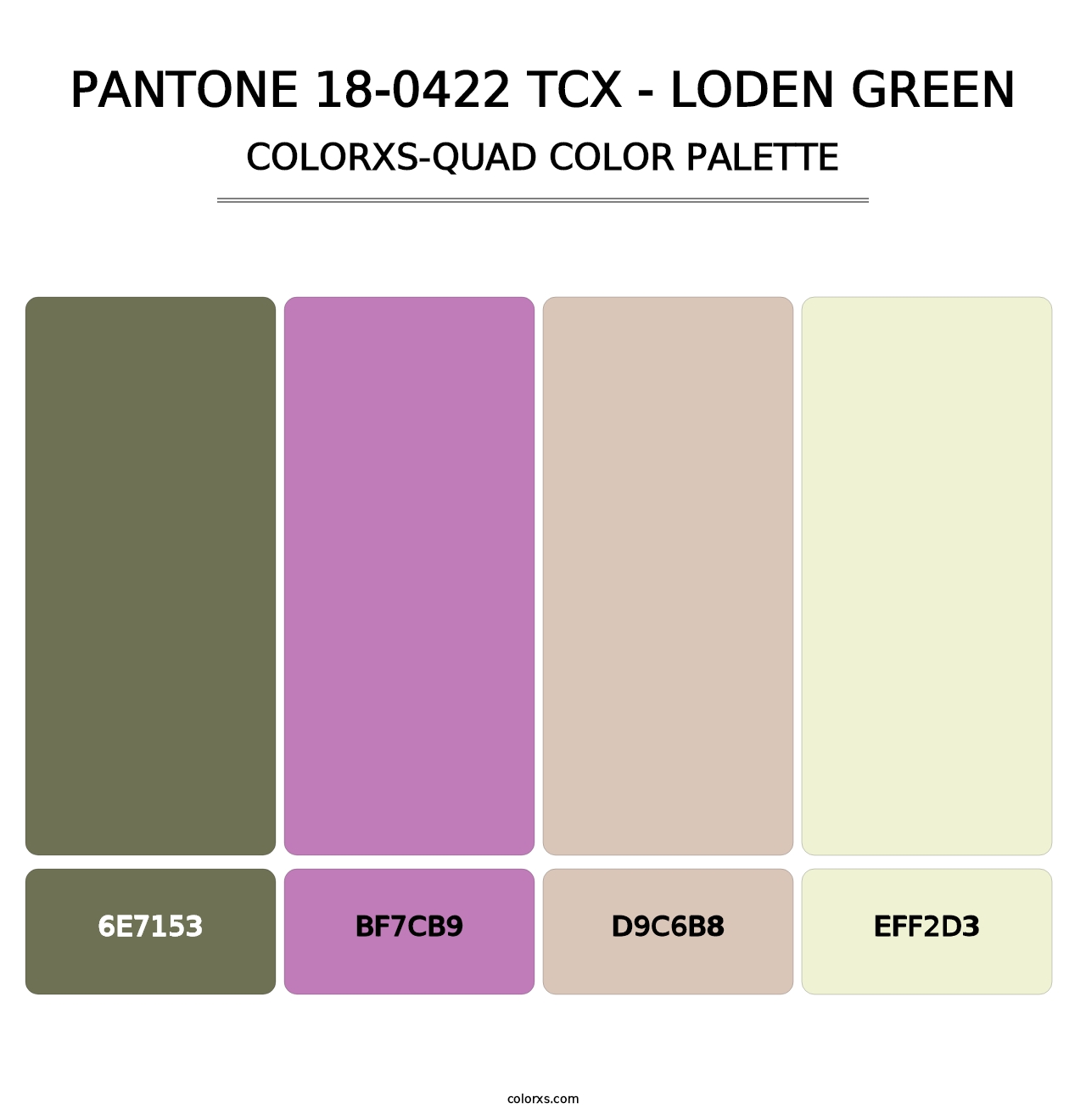 PANTONE 18-0422 TCX - Loden Green - Colorxs Quad Palette