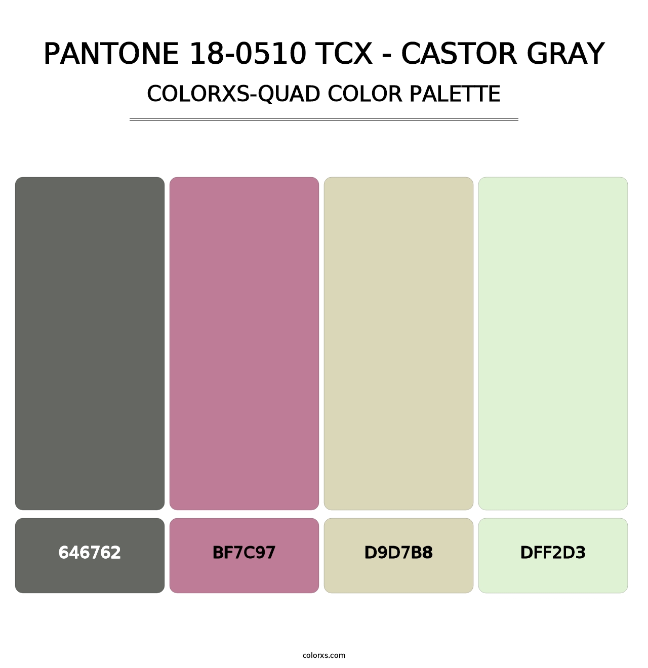 PANTONE 18-0510 TCX - Castor Gray - Colorxs Quad Palette