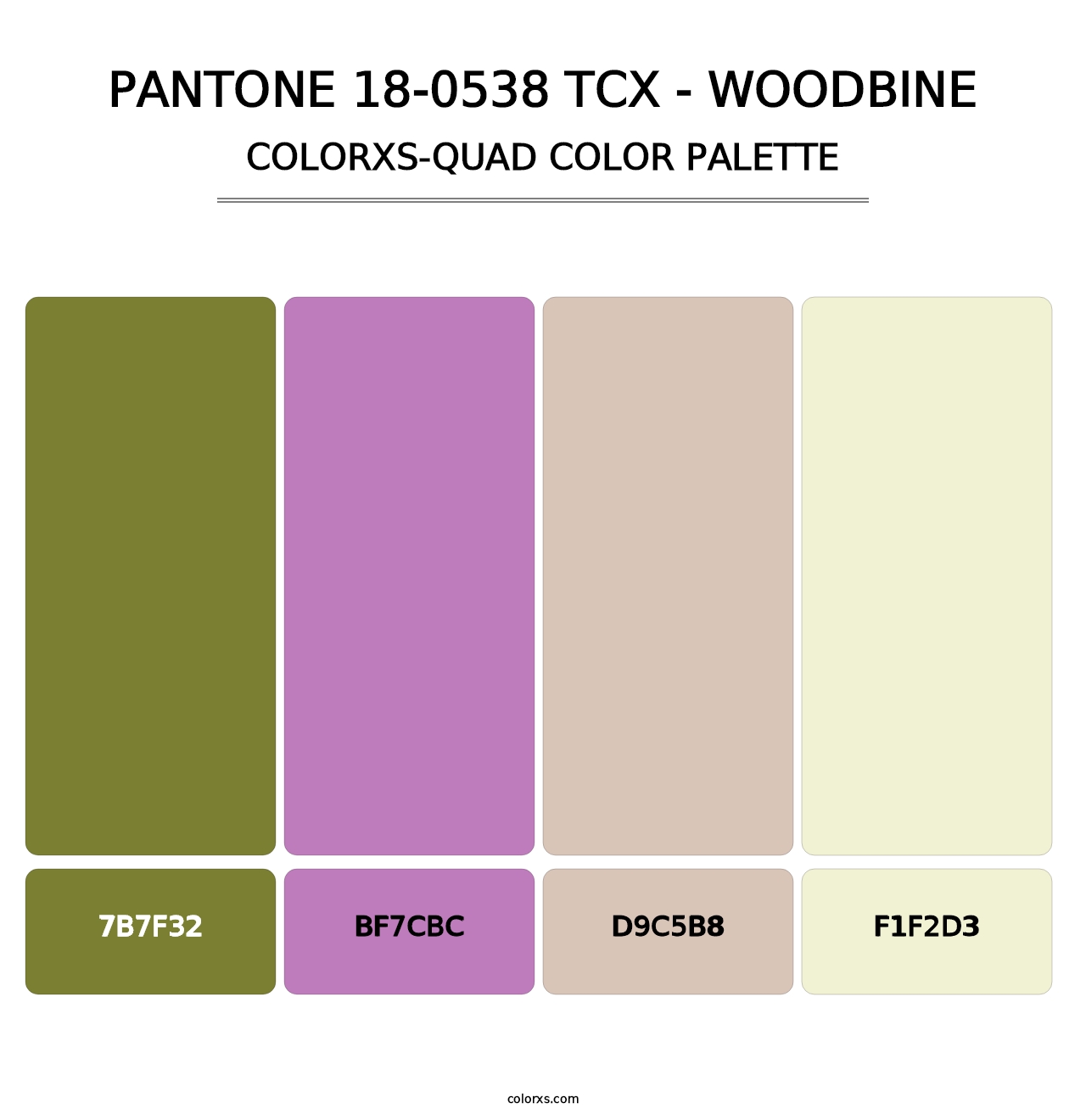 PANTONE 18-0538 TCX - Woodbine - Colorxs Quad Palette