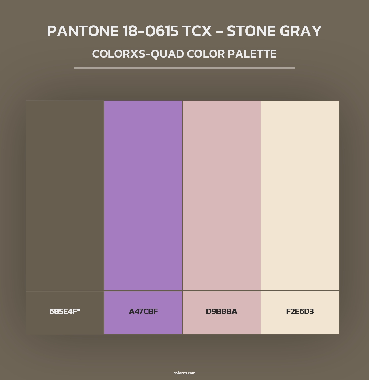 PANTONE 18-0615 TCX - Stone Gray - Colorxs Quad Palette