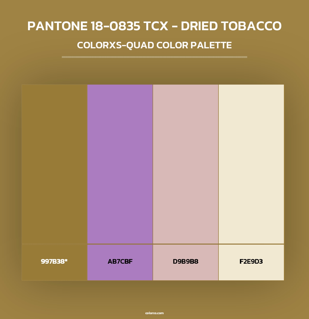PANTONE 18-0835 TCX - Dried Tobacco - Colorxs Quad Palette
