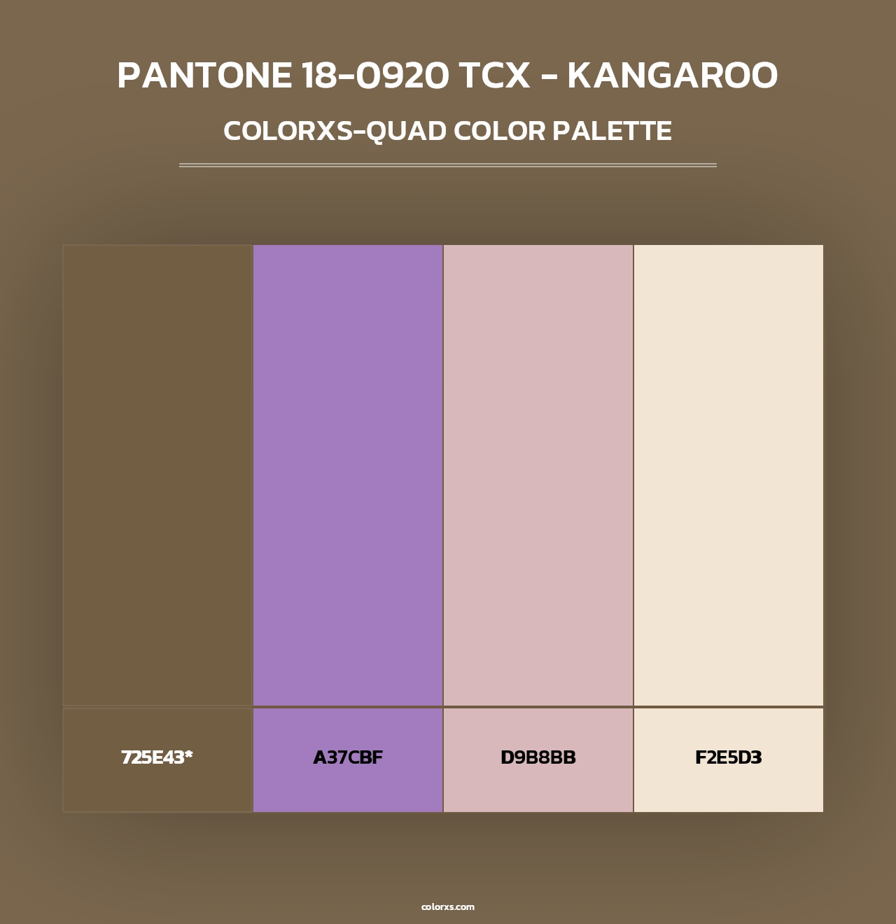 PANTONE 18-0920 TCX - Kangaroo - Colorxs Quad Palette