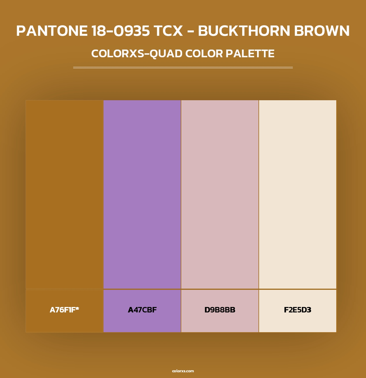 PANTONE 18-0935 TCX - Buckthorn Brown - Colorxs Quad Palette