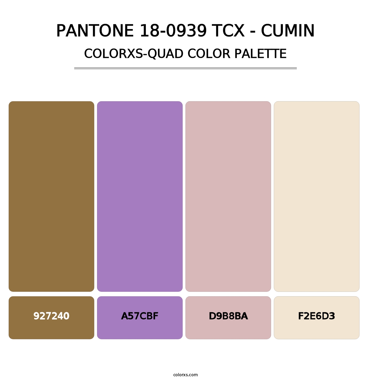 PANTONE 18-0939 TCX - Cumin - Colorxs Quad Palette