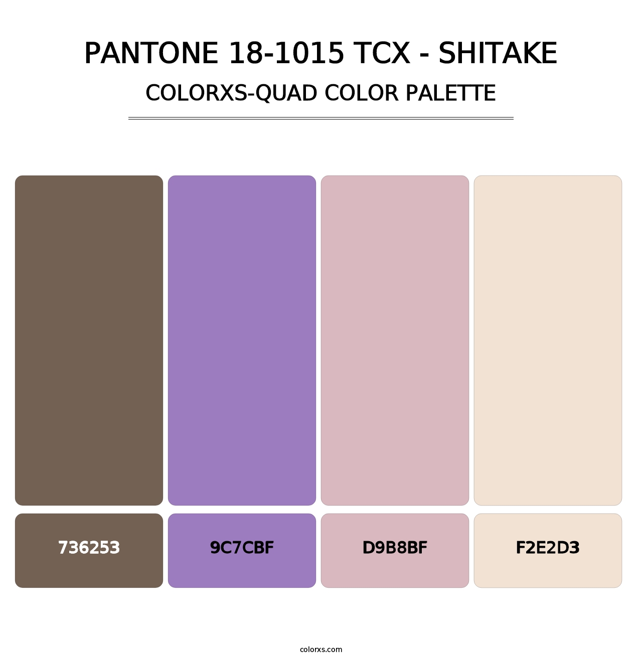 PANTONE 18-1015 TCX - Shitake - Colorxs Quad Palette