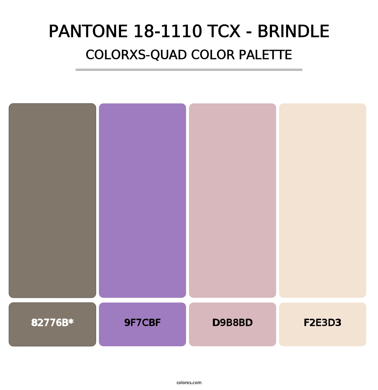 PANTONE 18-1110 TCX - Brindle - Colorxs Quad Palette