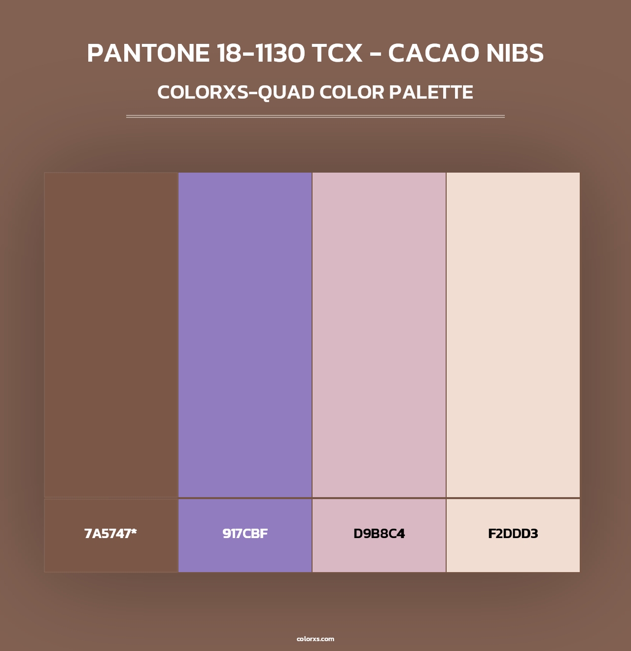 PANTONE 18-1130 TCX - Cacao Nibs - Colorxs Quad Palette