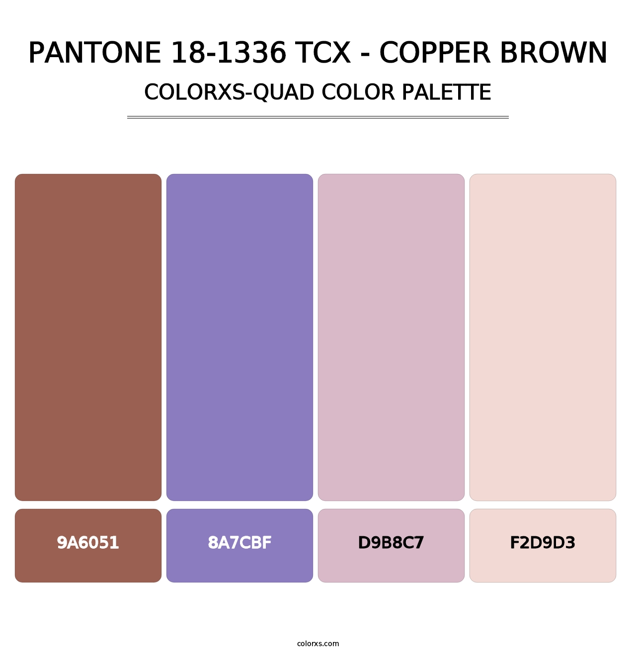 PANTONE 18-1336 TCX - Copper Brown - Colorxs Quad Palette