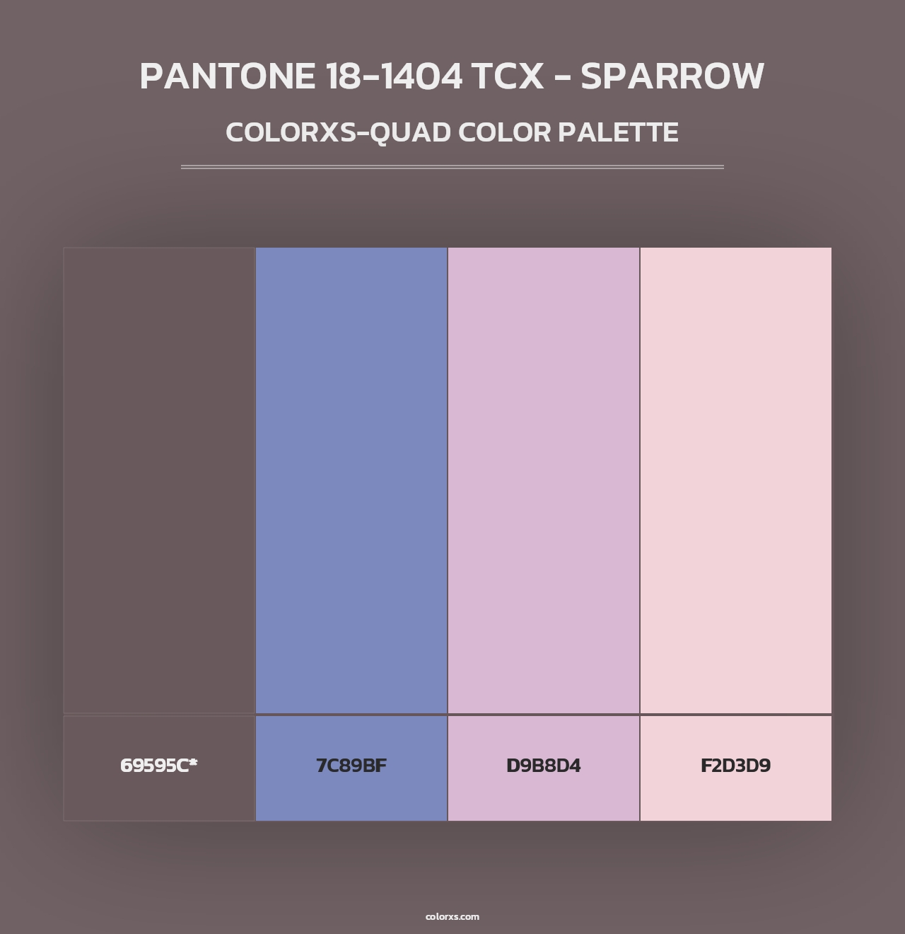PANTONE 18-1404 TCX - Sparrow - Colorxs Quad Palette
