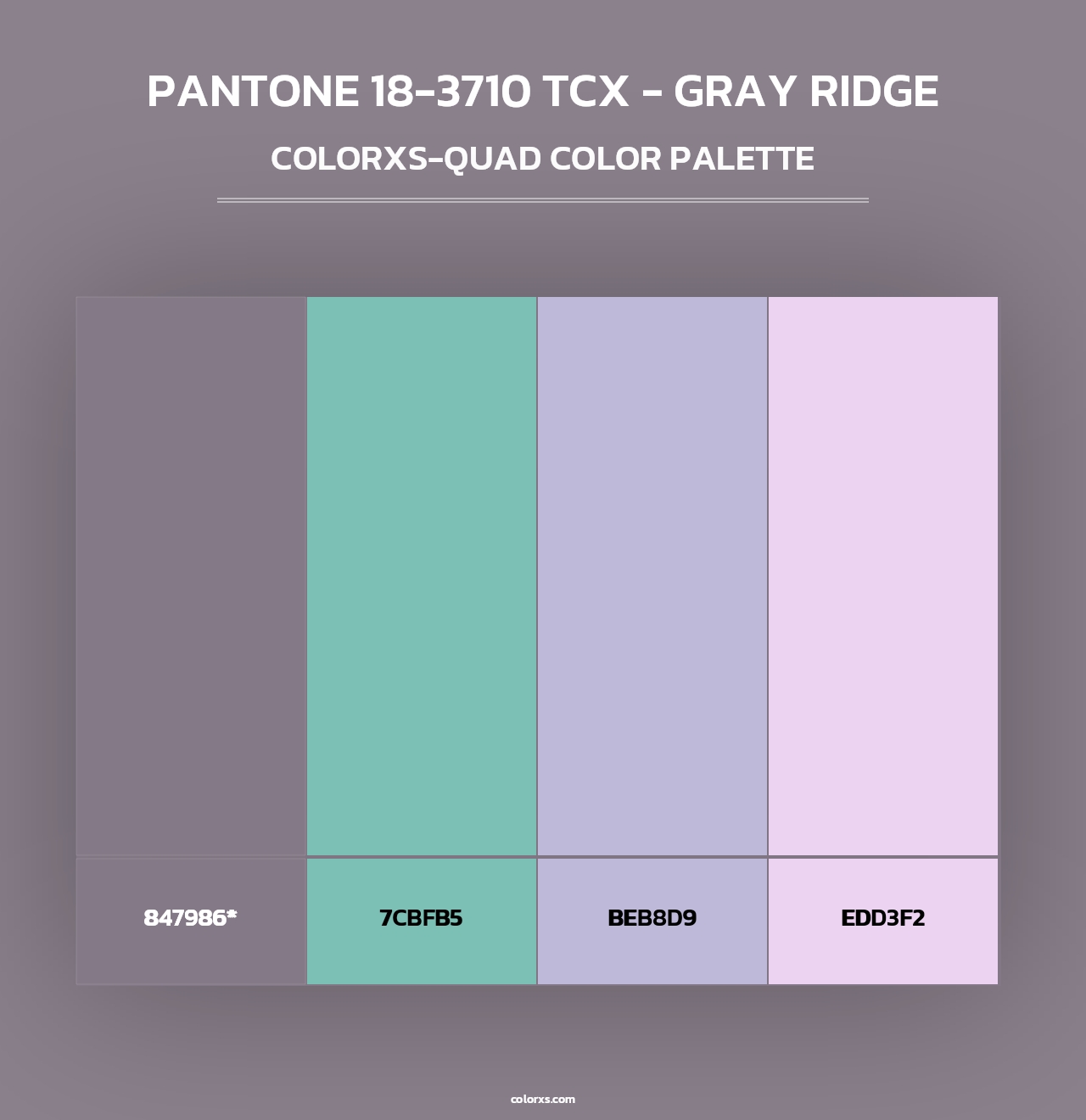 PANTONE 18-3710 TCX - Gray Ridge - Colorxs Quad Palette