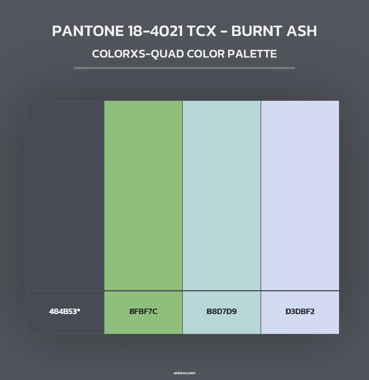 PANTONE 18-4021 TCX - Burnt Ash - Colorxs Quad Palette