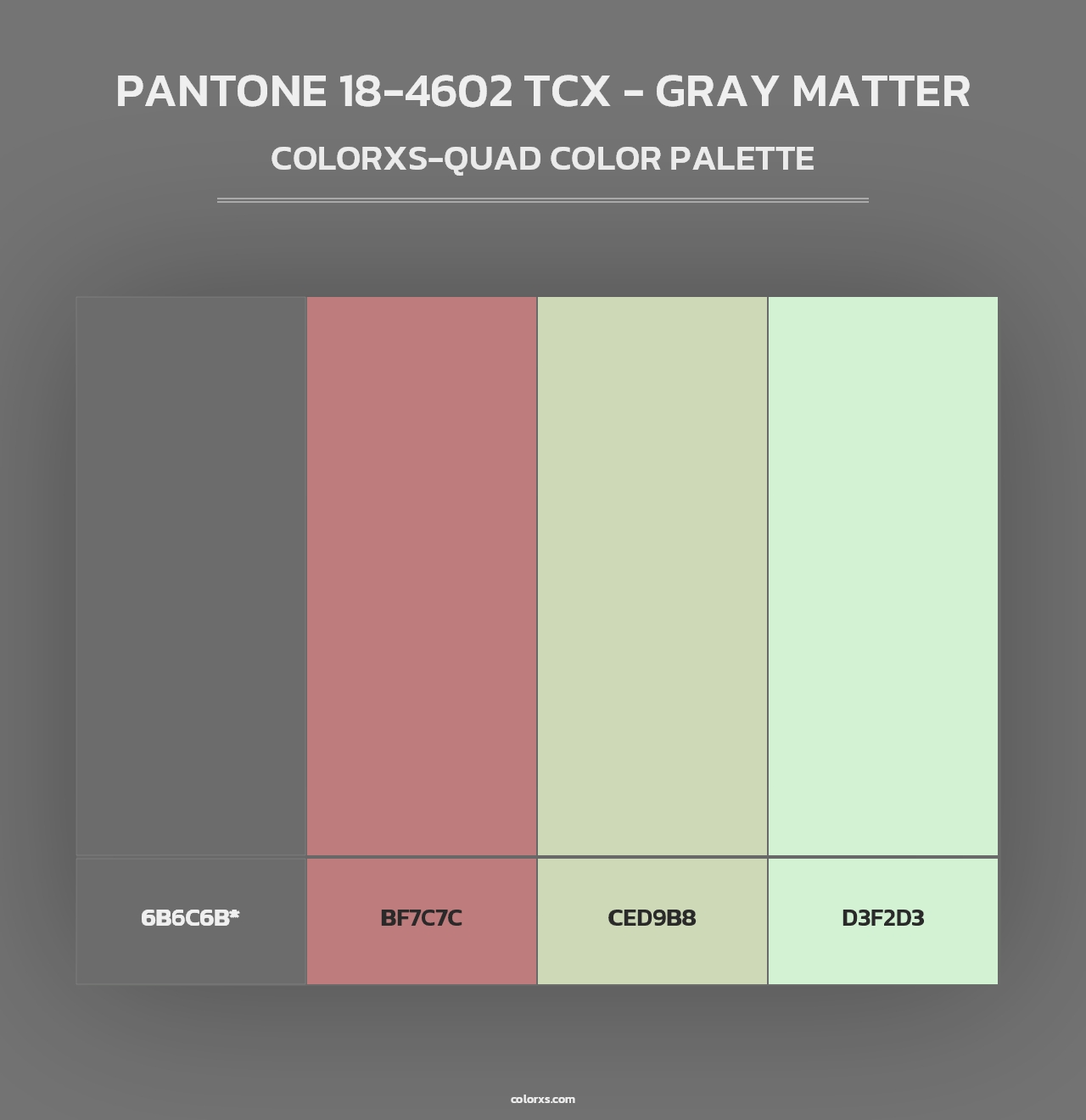 PANTONE 18-4602 TCX - Gray Matter - Colorxs Quad Palette