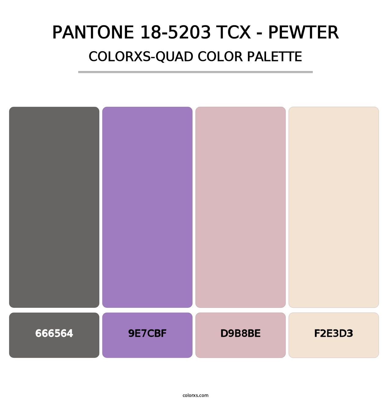 PANTONE 18-5203 TCX - Pewter - Colorxs Quad Palette