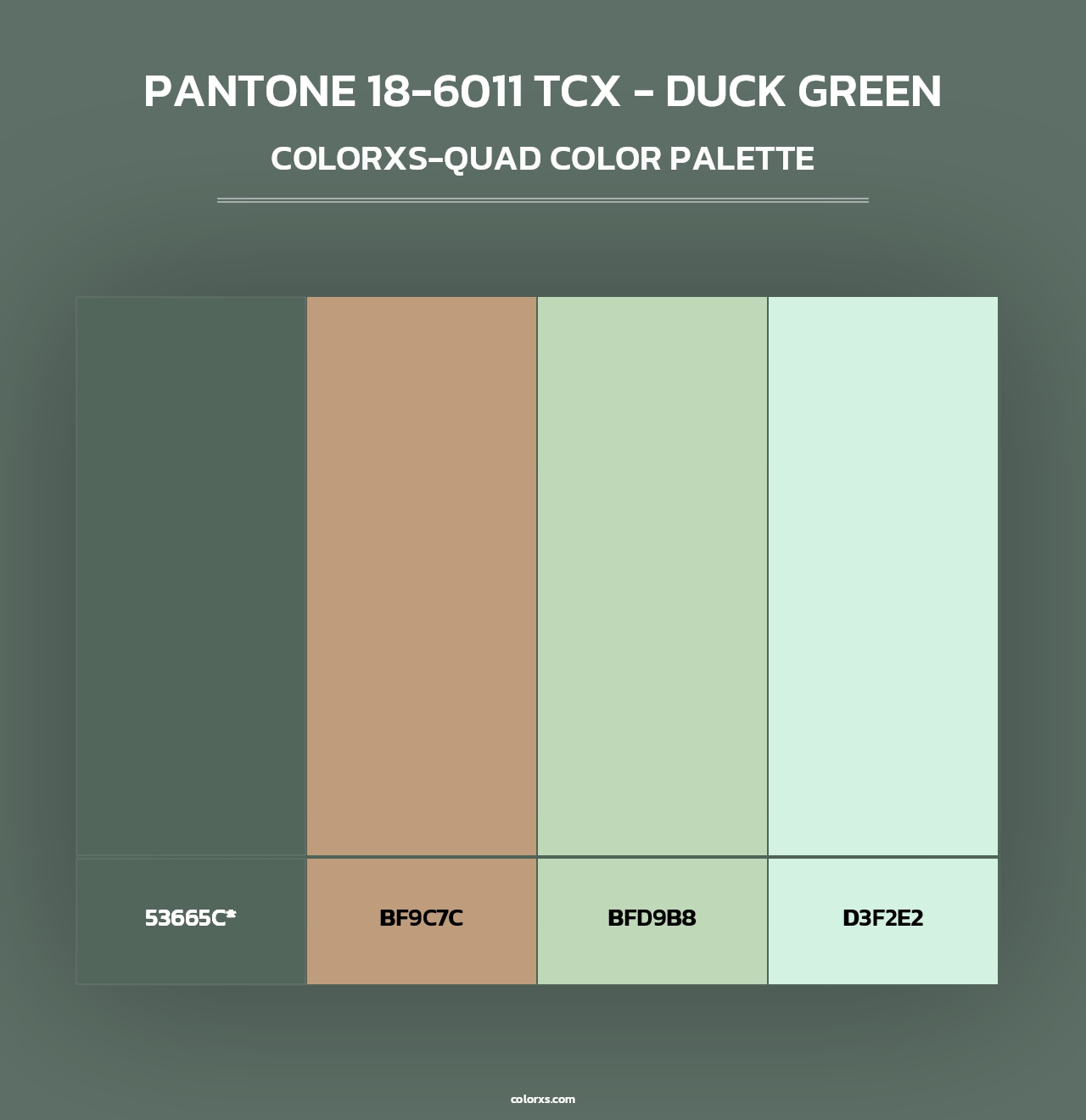 PANTONE 18-6011 TCX - Duck Green - Colorxs Quad Palette