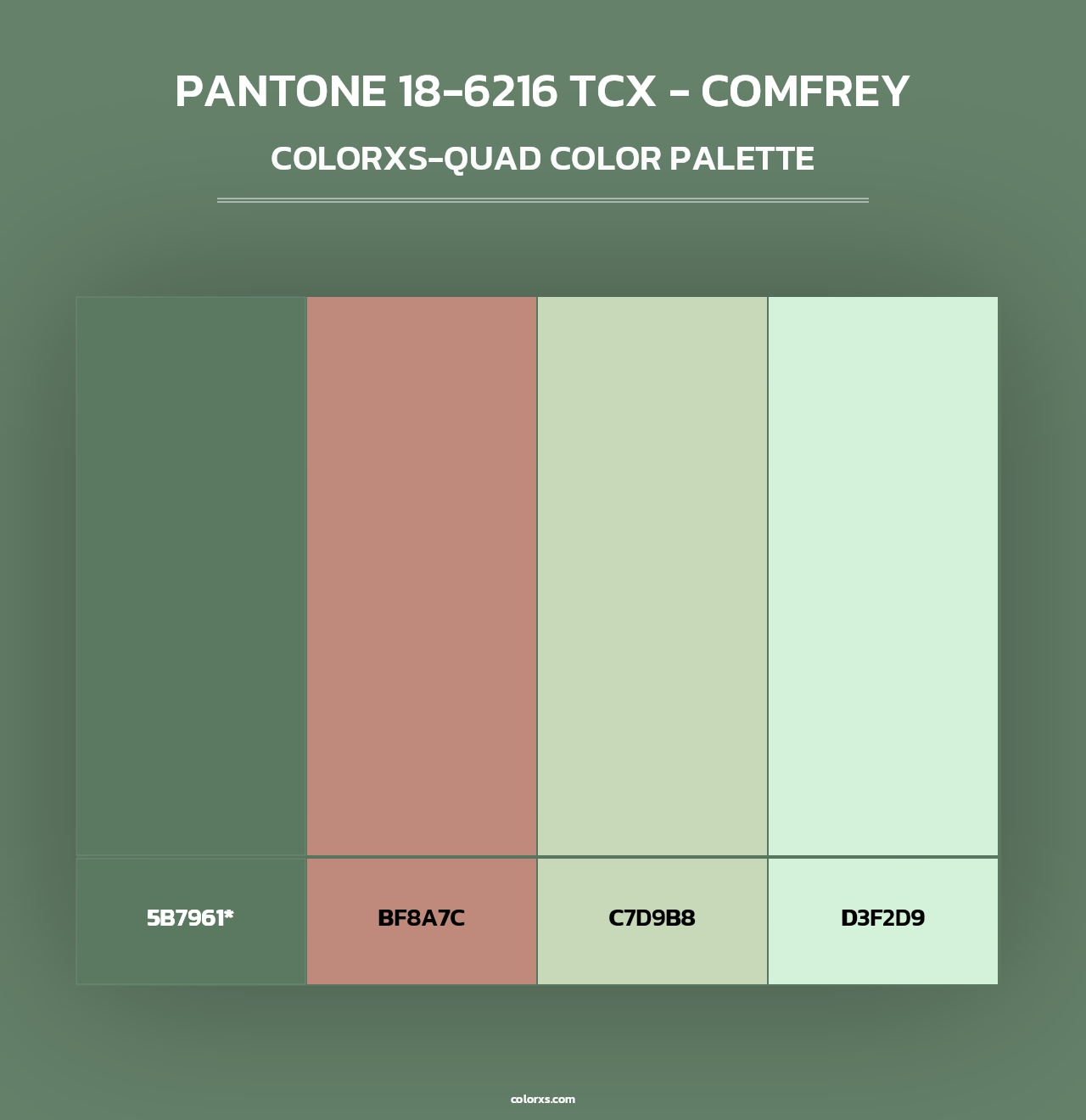 PANTONE 18-6216 TCX - Comfrey - Colorxs Quad Palette