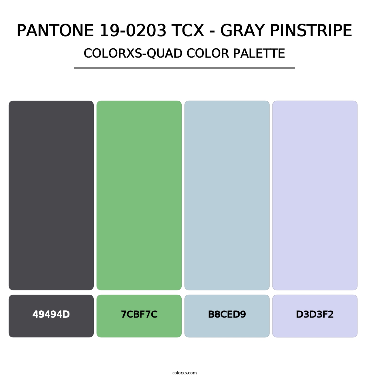 PANTONE 19-0203 TCX - Gray Pinstripe - Colorxs Quad Palette