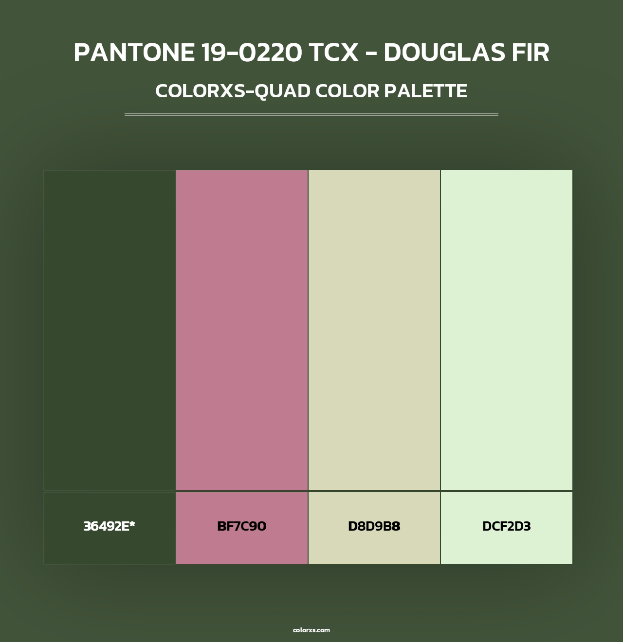 PANTONE 19-0220 TCX - Douglas Fir - Colorxs Quad Palette