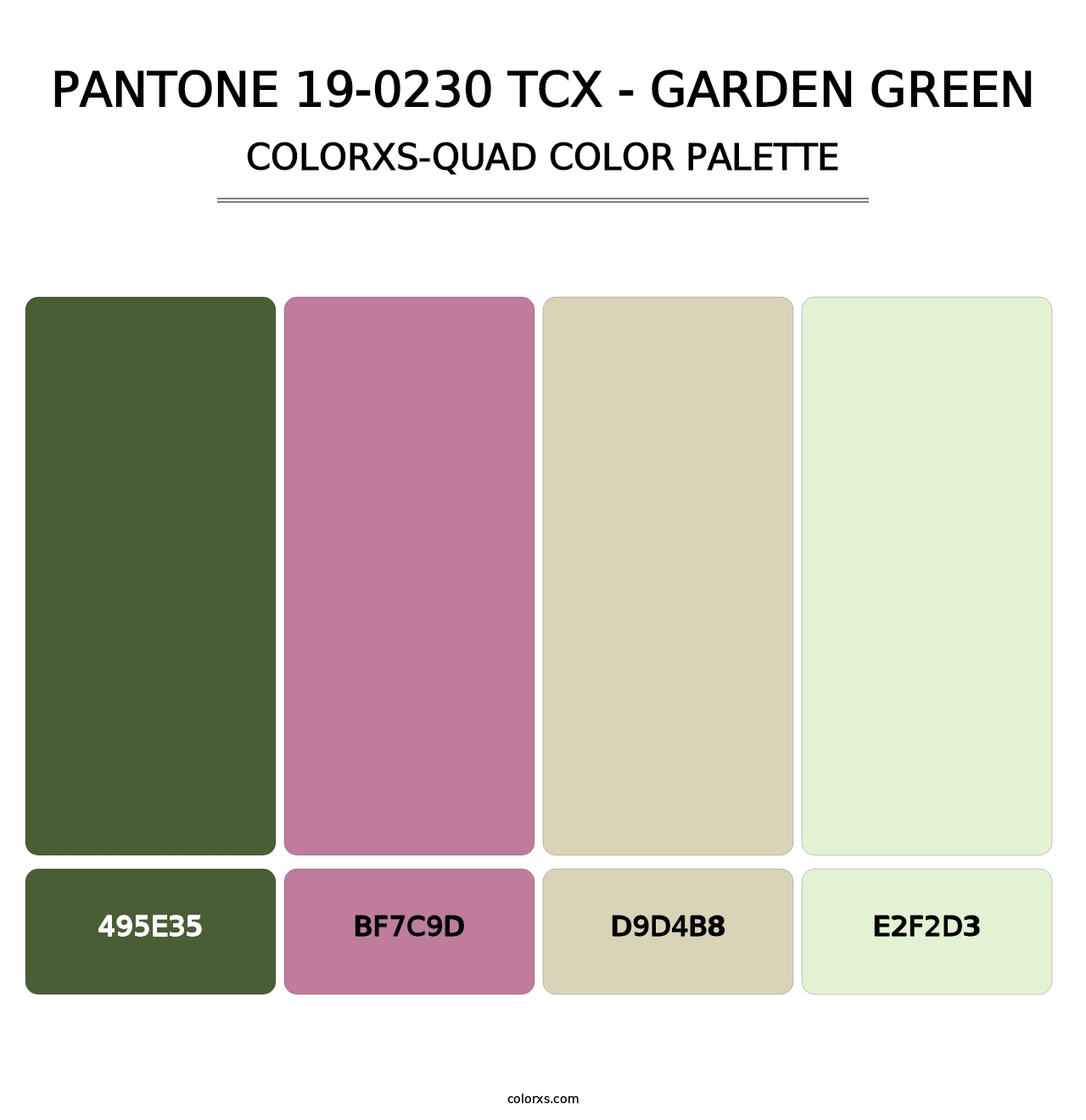 PANTONE 19-0230 TCX - Garden Green - Colorxs Quad Palette