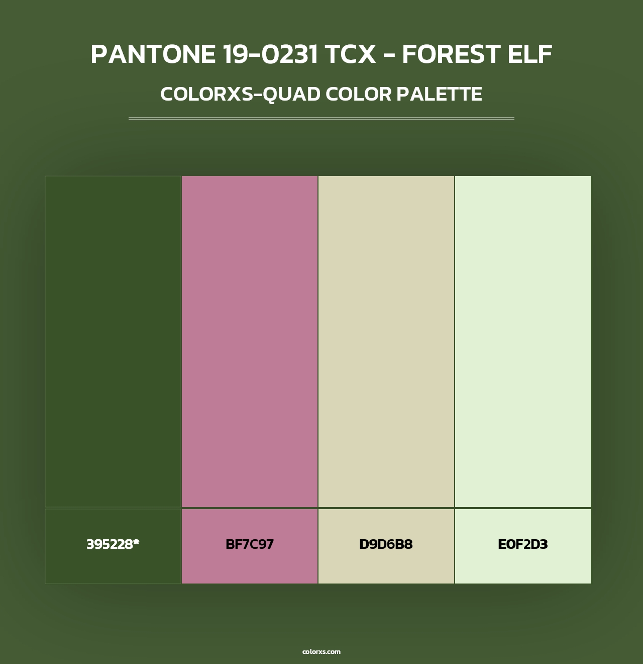 PANTONE 19-0231 TCX - Forest Elf - Colorxs Quad Palette