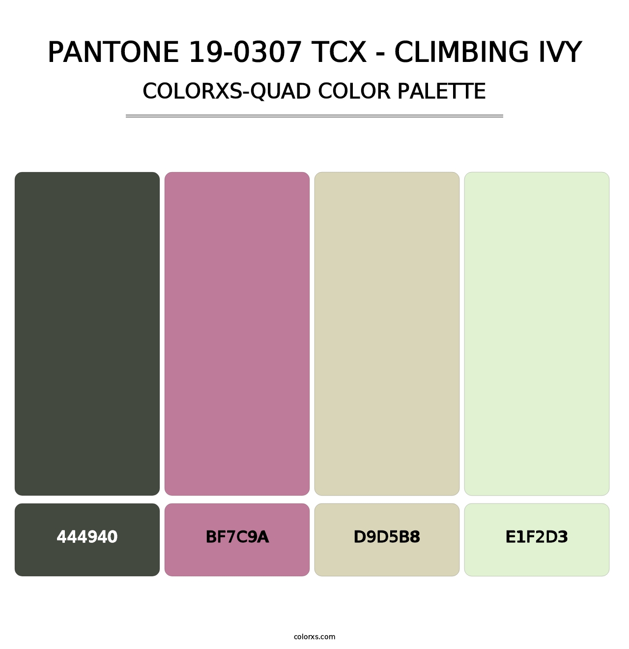 PANTONE 19-0307 TCX - Climbing Ivy - Colorxs Quad Palette