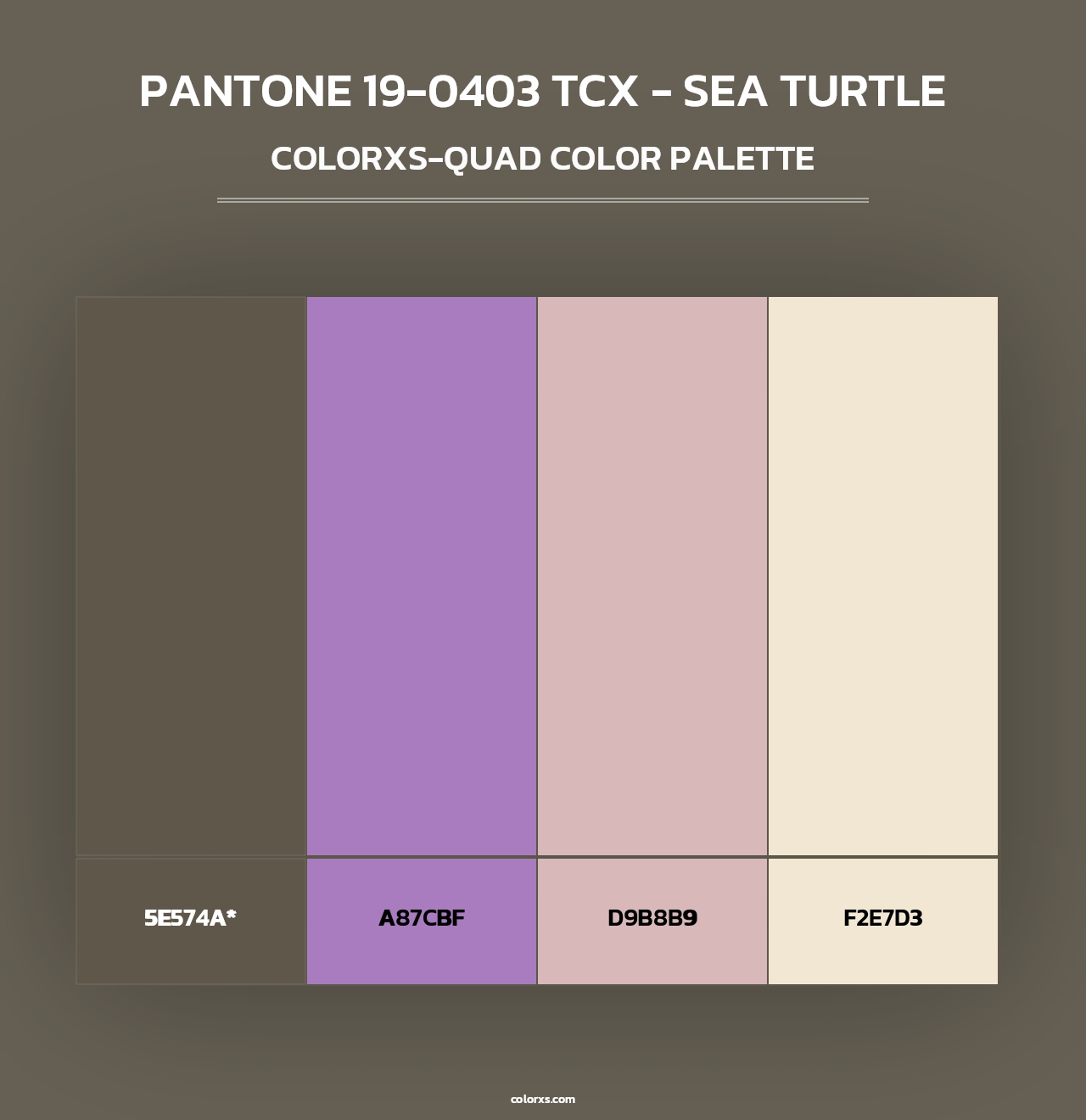 PANTONE 19-0403 TCX - Sea Turtle - Colorxs Quad Palette