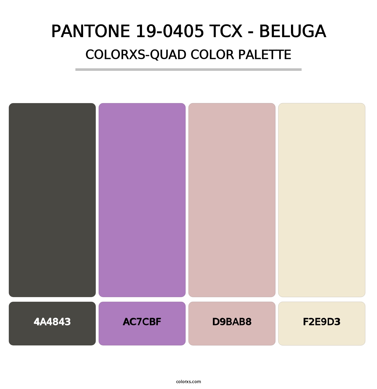 PANTONE 19-0405 TCX - Beluga - Colorxs Quad Palette