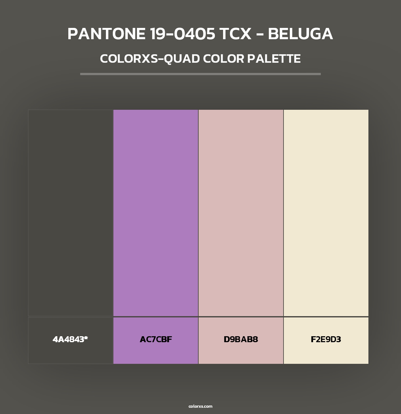PANTONE 19-0405 TCX - Beluga - Colorxs Quad Palette