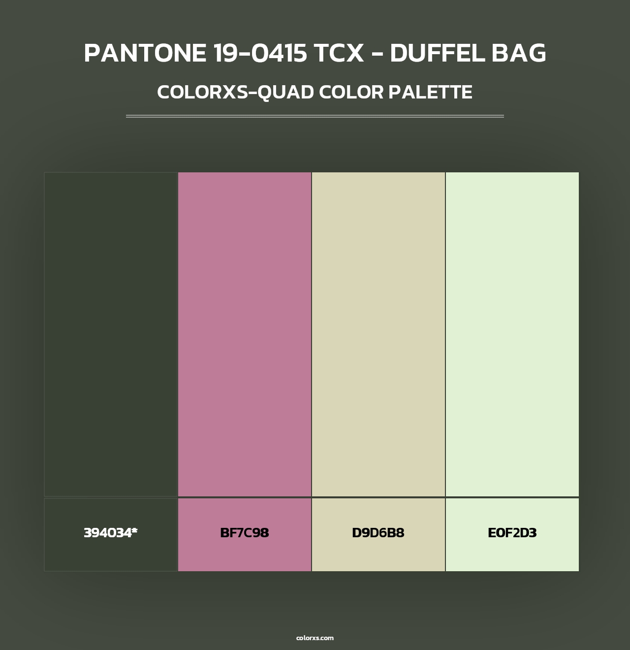 PANTONE 19-0415 TCX - Duffel Bag - Colorxs Quad Palette
